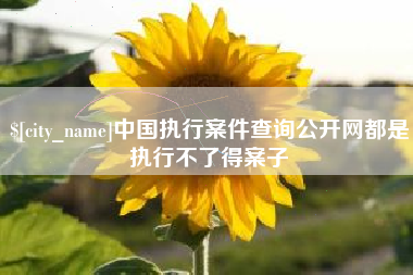 商丘中国执行案件查询公开网都是执行不了得案子