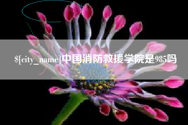 商丘中国消防救援学院是985吗