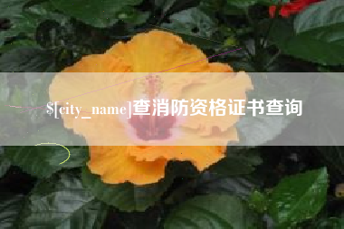 商丘查消防资格证书查询