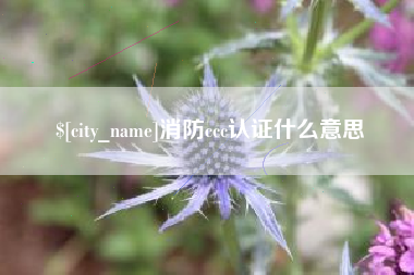 商丘消防ccc认证什么意思
