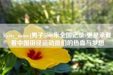 商丘男子5000米全国记录-更是承载着中国田径运动员们的热血与梦想