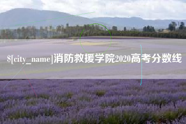 商丘消防救援学院2020高考分数线