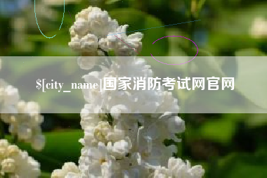 商丘国家消防考试网官网
