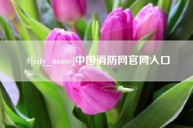 商丘中国消防网官网入口