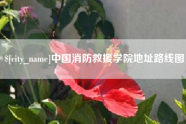商丘中国消防救援学院地址路线图
