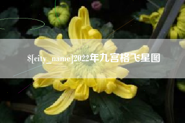 商丘2022年九宫格飞星图