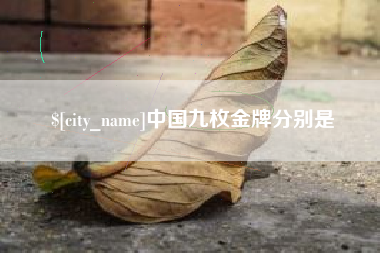商丘中国九枚金牌分别是
