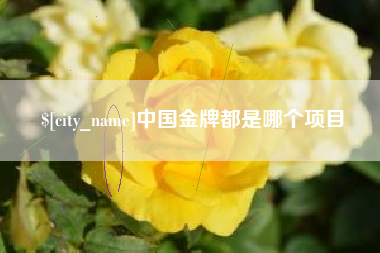 商丘中国金牌都是哪个项目