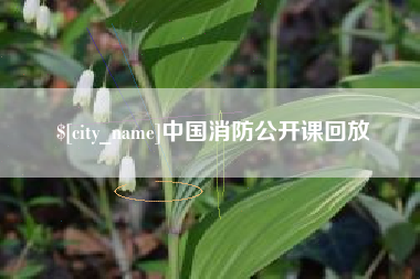 商丘中国消防公开课回放