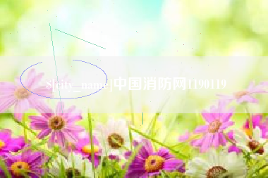 商丘中国消防网1190119