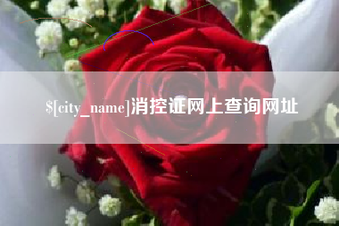 商丘消控证网上查询网址