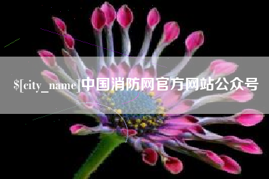 商丘中国消防网官方网站公众号