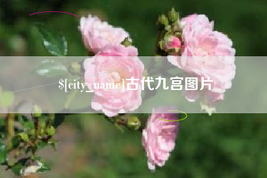 商丘古代九宫图片