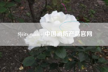 商丘中国消防产品官网