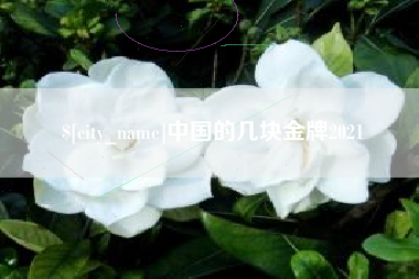 商丘中国的几块金牌2021