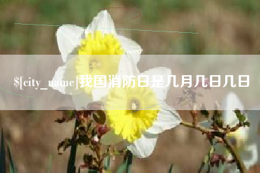 商丘我国消防日是几月几日几日