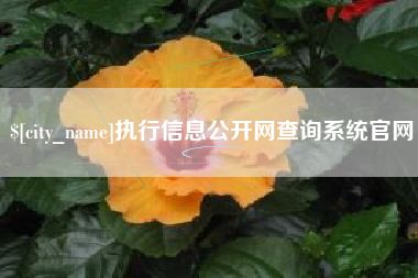 商丘执行信息公开网查询系统官网