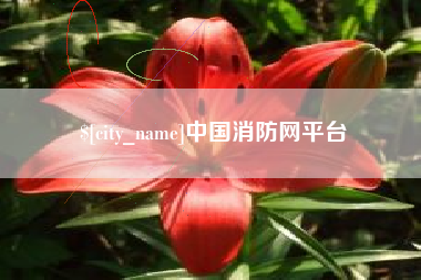 商丘中国消防网平台