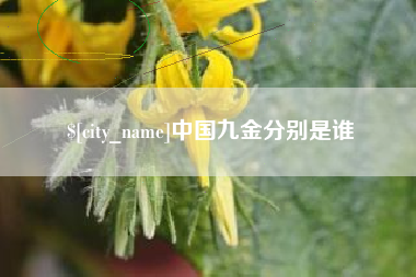 商丘中国九金分别是谁