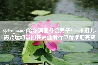 商丘哈尔滨亚冬会男子5000米接力-需要运动员们在高速滑行中精准地完成