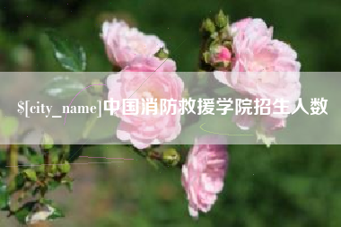 商丘中国消防救援学院招生人数
