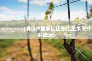 商丘消防救援学院山东招生录取分数线2020