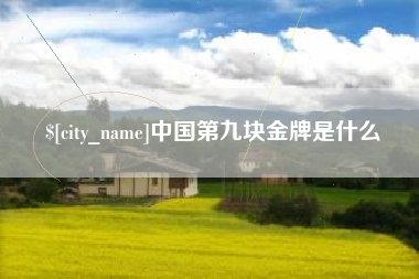 商丘中国第九块金牌是什么