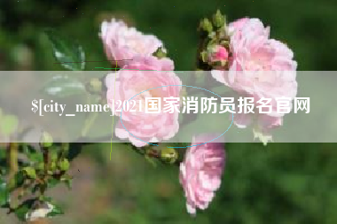 商丘2021国家消防员报名官网
