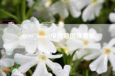 商丘中国地图像素版