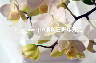 商丘119消防日哪年开始
