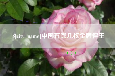商丘中国有哪几枚金牌得主