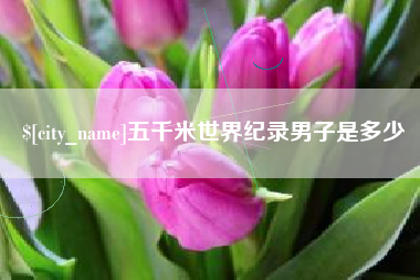 商丘五千米世界纪录男子是多少