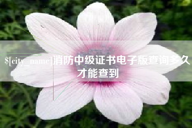 商丘消防中级证书电子版查询多久才能查到