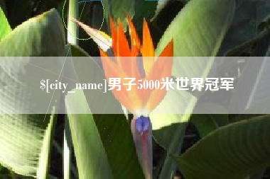 商丘男子5000米世界冠军