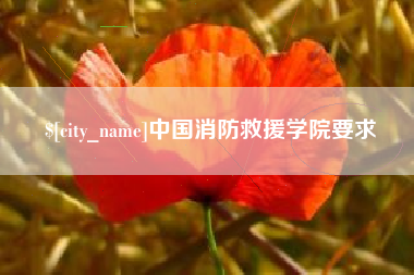 商丘中国消防救援学院要求