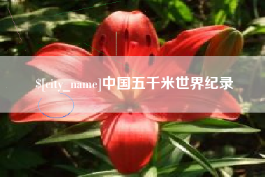 商丘中国五千米世界纪录