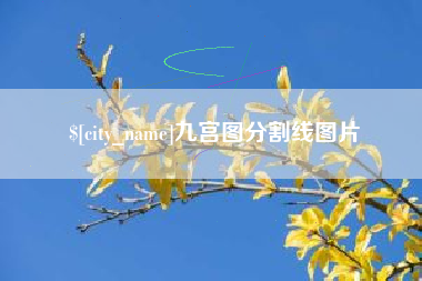 商丘九宫图分割线图片