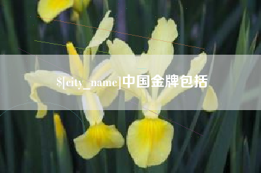 商丘中国金牌包括