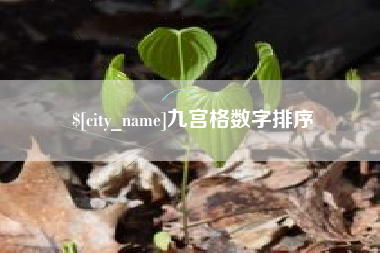 商丘九宫格数字排序