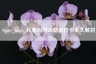 商丘民事纠纷冻结银行卡多久解封