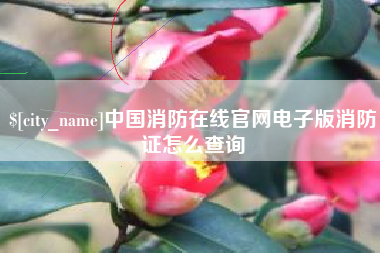 商丘中国消防在线官网电子版消防证怎么查询
