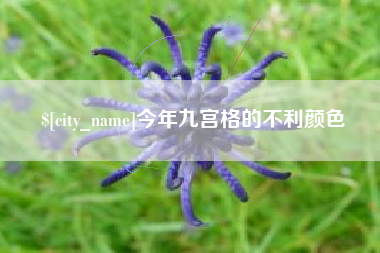 商丘今年九宫格的不利颜色