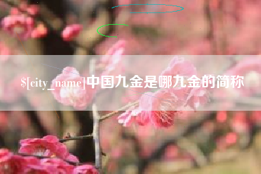 商丘中国九金是哪九金的简称