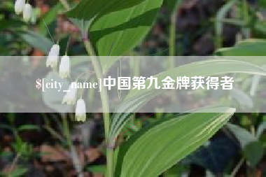 商丘中国第九金牌获得者