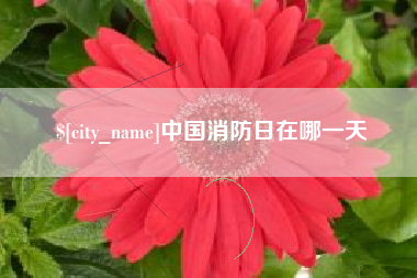 商丘中国消防日在哪一天