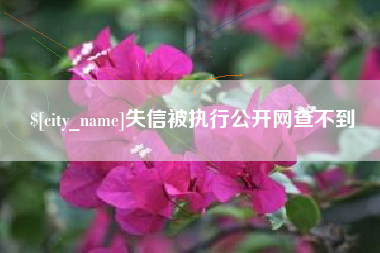 商丘失信被执行公开网查不到