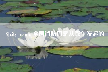 商丘全国消防日是从哪年发起的