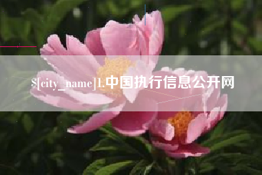 商丘1.中国执行信息公开网