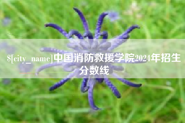 商丘中国消防救援学院2024年招生分数线