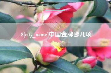 商丘中国金牌哪几项